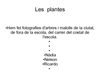 LES PLANTES