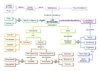 Mapa_conceptual_mutaciones