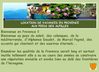Mouries : Locations de gites en Provence, Alpilles, Maussane les Alpilles, Les Baux de Provence, Saint Remy de...