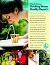 2010 Water Quality Report