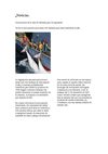 LAS MEJORES NOTICIAS