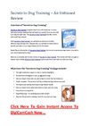 Secrets To Dog Training - An Unbiased Review