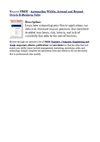 Automation Within, Around and Beyond Oracle E-Business Suite