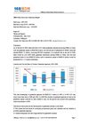 2009 China Guarantee Industry Report