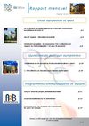 rapport sur l'impact des activités de l'UE sur le sport pour les mois de décembre 2009 et janvier 2010.