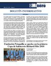 Boletín El Minero Mayo 2010 - Año 1 - Número 4