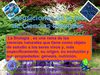 Exposiciones de la área de Ciencias naturales 