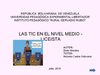 INFORME SOBRE LAS TIC EN EL NIVEL MEDIO LICEISTA