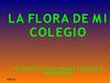 DIAPOSITIVAS "LA FLORA DE MI COLEGIO.MANEJO Y PRODUCCION"