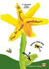 L'Annexe pour les petits spectateurs - Saison 2010-2011 - Cie Songes