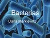Las Bacterias