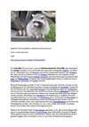 Waschbär Tiere Animals Natur SelMcKenzie Selzer-McKenzie