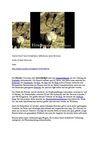 Hirsche Hirsch Tiere Animals Natur SelMckenzie Selzer-McKenzie