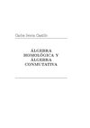algebra homologica y algebra conmutativa