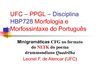 Sintaxe gerativa e linguística computacional: minigramáticas CFG no formato do NLTK do poema drummondiano Quadrilha