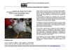 CURSO POLLOS SAN BERNARDO NARIÑO