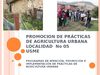Practicas de Agricultura Urbana