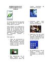 NORMAS GENERALES DE COMPORTAMIENTO EN EL TRABAJO