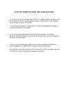 ACTA DE CONSTITUCION
