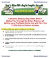 How To Make 100 Dollars A Day In A Down Economy Video Guide