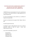 MISSION D’ETUDE COMMISSION EMPLOI : ETUDE DU NOUVEAU MODELE OPERATIONNEL DE CARREFOUR