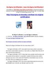 Six Sigma Certification | Lean Six Sigma Certification