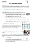 TP P2 Etude de signaux périodiques