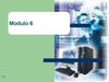 4º modulo 6