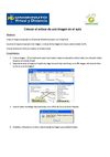 Guia para colocar un enlace de tinypic