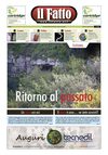 Numero 025 del 11/12/2008