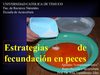 Fecundación en peces