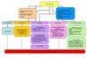 organigramme 