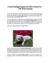 French Bulldog Puppies are best choice for the show purpose