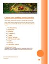 Choose good wedding catering services