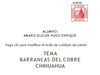 BARRANCAS DE COBRE