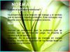 NORMAS,LEYES ,DEBERES