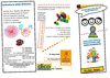 brochure corretta