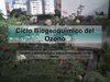 Control de la Contaminaciòn (Ciclo del Ozono)