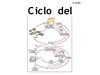 Control de Contaminación (Ciclo del Fósforo)