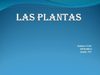 las matematicas