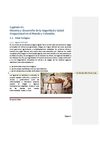 Capitulo 1 Historia de la Salud Ocupacional