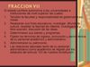 articulo 7 constitucional