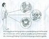 སྦྲུམ་མས་བསྟེན་དགོས་པའི་འཚོ་བཅུད་ལྡན་པའ...
