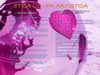 etica en licenciatura en artistica