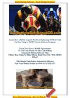 Horse Betting Doftware - Horse Betting Professor