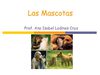 Las mascotas .