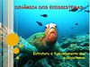 1º cap - Dinâmica dos ecossistemas