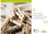 Le petit guide vert du bio-ménage
