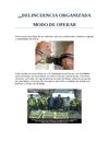 Delincuencia organizada