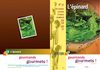 Gourmand gourmet n°37